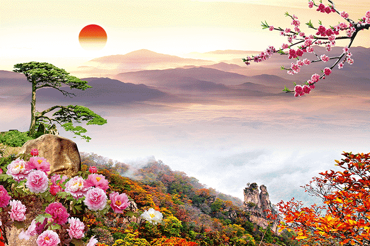 mcy-30日出桃花迎客松大山风景画