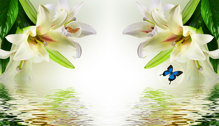 百合花蝴蝶泡泡倒影背景墙装饰画